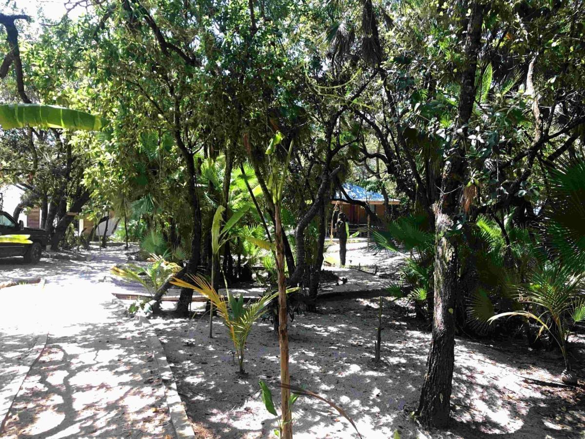 מאיה ביץ' Kin Resort Lodge מראה חיצוני תמונה